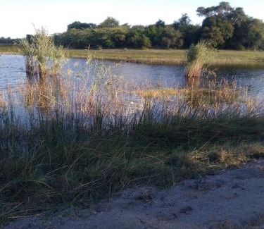 Kongola Other | Kayubo Campsite