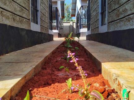 Nyeri Hotel | KEDOVO Cottages