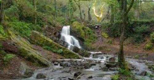 Mauron Bed & Breakfast | Ker Cado - Chambre d'hôtes