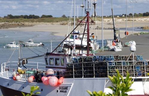 Cleder House | Ker Melen single-storey wooden house 5 minutes from the beach (Finistère, Brittany)