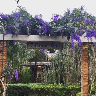 Pong Ta Long Resort | Khaoyai Nature Retreat