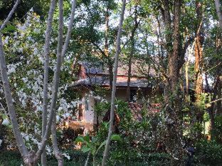 Pong Ta Long Resort | Khaoyai Nature Retreat