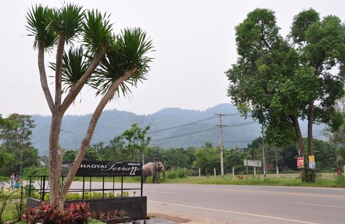 Mu Si Hotel | Khaoyai Terrazzo