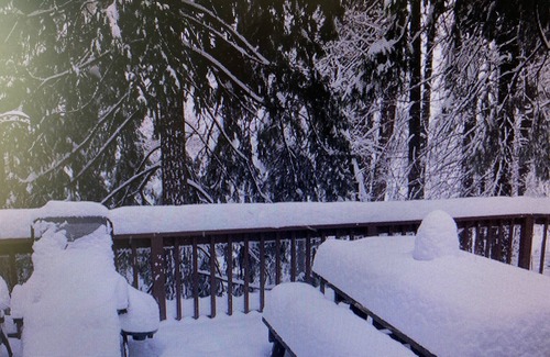 Mi-Wuk Village House | Kid & Pet Friendly Beautiful Fully Functioning Cabin Sleeps 8