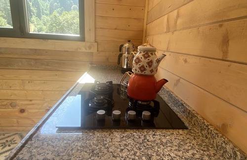 Ayder Yaylasi Cabin | King Cabins
