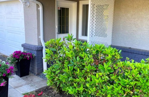 Regional District of Nanaimo Apartment | King Large Cozy Studio Kitchen W/D | Sleeps 4n