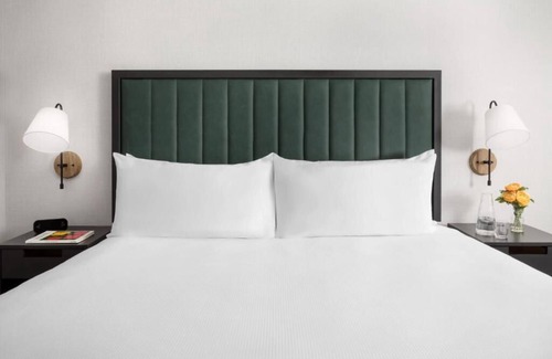 Brookline Hotel | King Room at Arcadian Hotel! Close to The Museum of Fine Arts, Boston