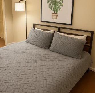 Downtown Cleveland Apartment | King Suite Playhouse SQ DT, RockHall, CSU, Clinic