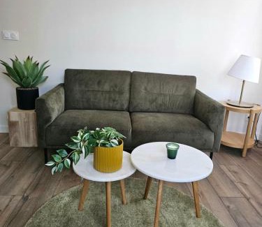 Roche-la-Moliere Apartment | Kings View