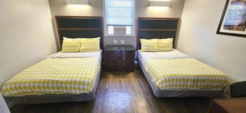 Neptune City Apartment | Kiteville Neptune