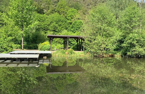 Hauenstein House | Kleine Aber Feine Unterkunft mit Direktem Zugang zum Wald!