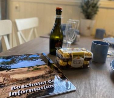 Doornspijk Ski Chalet | Knus Boschalet met veel Privacy op de Veluwe