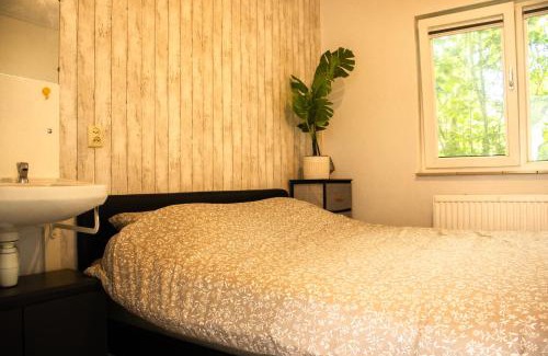 Nes House | Koetshuis