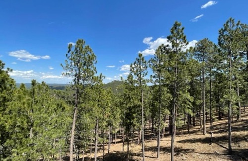 Rapid City House | Kojak Secluded Cabin 5 miles to Lake Pactola! Hot tub! Beautiful View Wi-Fi