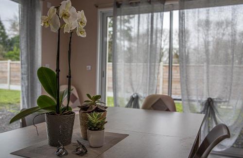 Englesqueville-la-Percee House | Kokana modern holiday home