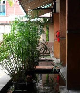 Old City House | Koko Palm Inn