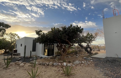 El Sargento House | Kokomo Palms of Julio Yoolio (NEW BUILD)