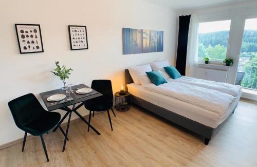 Bad Elster Apartment | Komfortables Apartment in Bad Elster mit Netflix