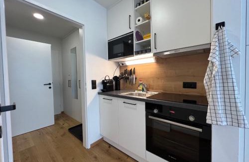 Oberdobling Apartment | Kompaktes Zentrales Studio mit Parkplatz