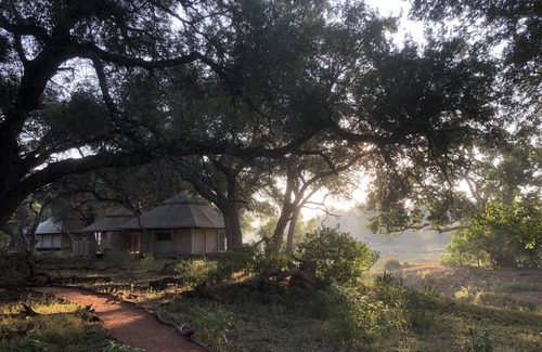 Mashatu Game Reserve Other | Koro River Camp