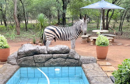 Marloth Park House | Kruger Kumba - Mugwenzi