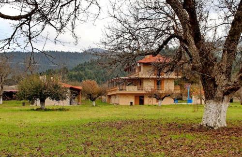 Karkalou Apartment | Ktima Karadimou