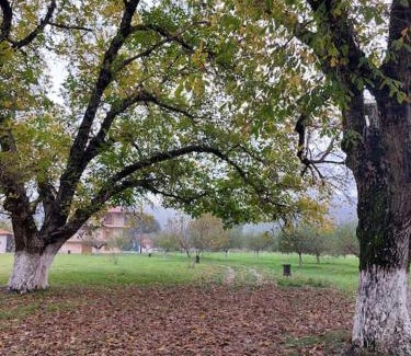 Karkalou Apartment | Ktima Karadimou