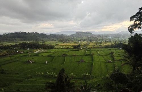 Ababi House | Kubu carik homestay