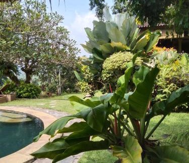Ababi House | Kubu carik homestay