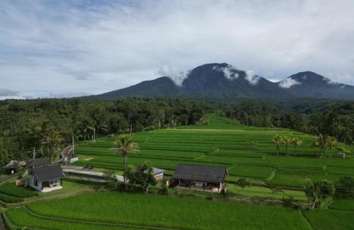Penebel House | KUBU D'UME HOMESTAY