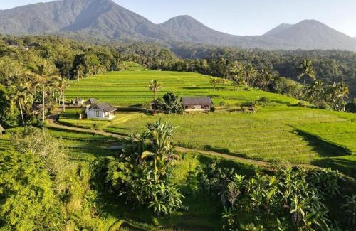 Penebel House | KUBU D'UME HOMESTAY