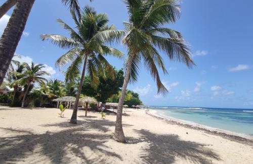 Anse des Rochers Apartment | Kukumi's Suite Anse des Rochers