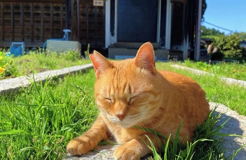 Nagahama House | Kura ika Stay in a hidden storehouse/Nagahama Shiga