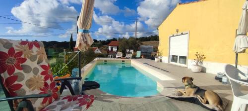 Alcobaca Apartment | Kyrios Arts Atelier with use of private swimming pool