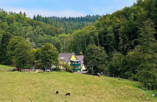 Neckar-Odenwald-Kreis District Apartment | Lärche - Siegelsbacher Mühle