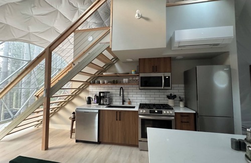 Benzonia Cabin | Löyly Luxury Dome, Hot Tub, Sauna, Plunge, King, Queen, Kitchen, Sleeps 4, N. MI