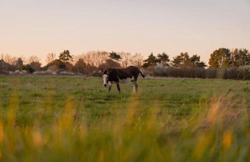 Billy House | L'Échappée Royale - Beauval et Route des Châteaux