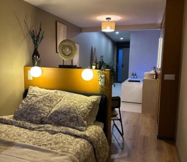 Plein Sud Apartment | L'Écrin Bohème - Jacuzzi & Sauna - Amiens