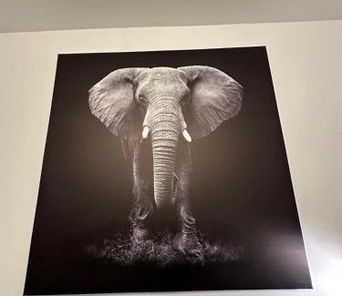 Jacquard - Prefecture Apartment | l'élégant centrale