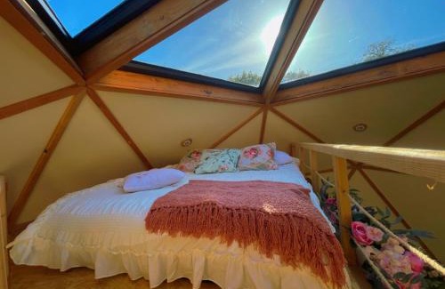 Cerisy-la-Foret Other | L'étoile de Baynes