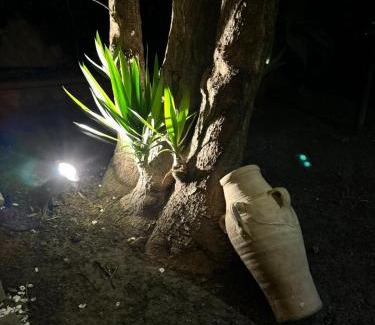 Villabate Apartment | L'abete