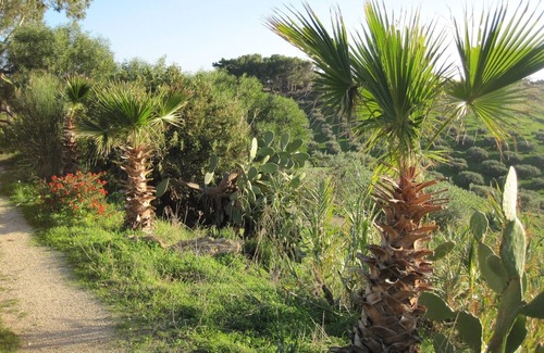 Ribera Villa | L agave e la Palma Nana