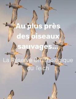 Le Teich Apartment | L air du Bassin