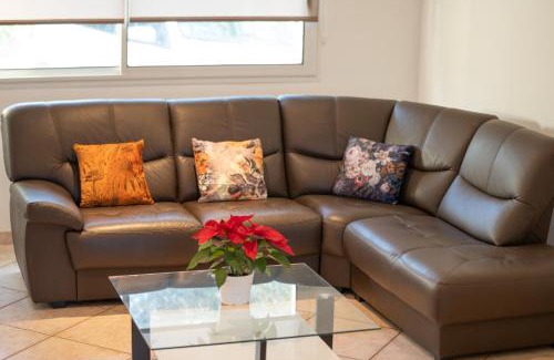 Bastelicaccia Apartment | L'ALIVETTE