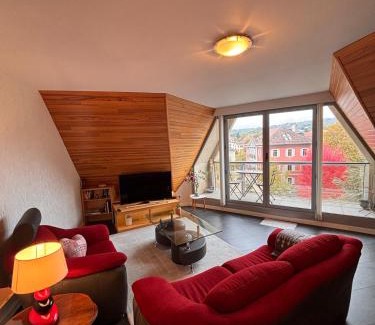 La Roche-sur-Foron Apartment | L'ALTÉA - top floor - bright - city center