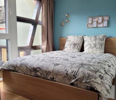 Barr Apartment | L'Appart avec terrasse - centre historique