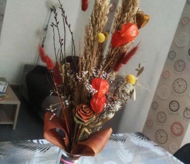 Millau Apartment | L'appart Millau Centre-Ville - Gite