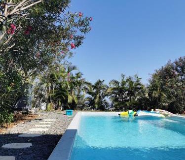 Plateau-Caillou House | L'Araucaria