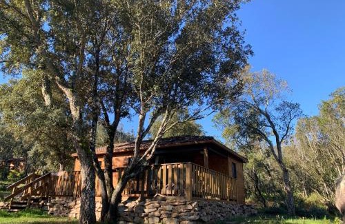 Sartene Apartment | L'Aravone Lodge