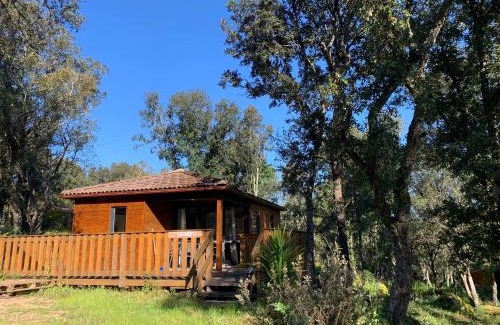 Sartene Apartment | L'Aravone Lodge